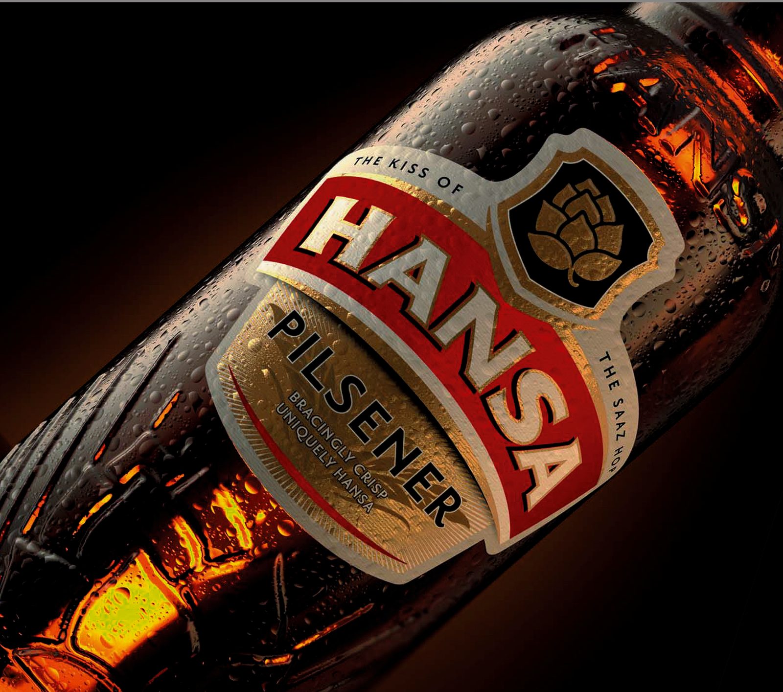Photoreal macro 3D render of a condensation-covered Hansa Pilsener bottle