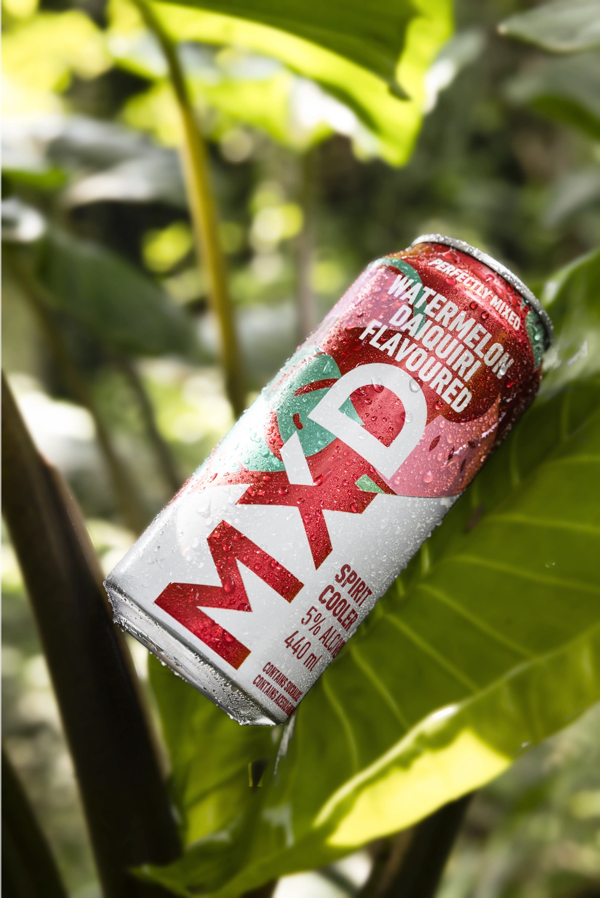 Condensation-covered MXD Watermelon Daiquiri can resting on tropical leaves